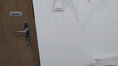 V procese - steny, elektroinštalácia